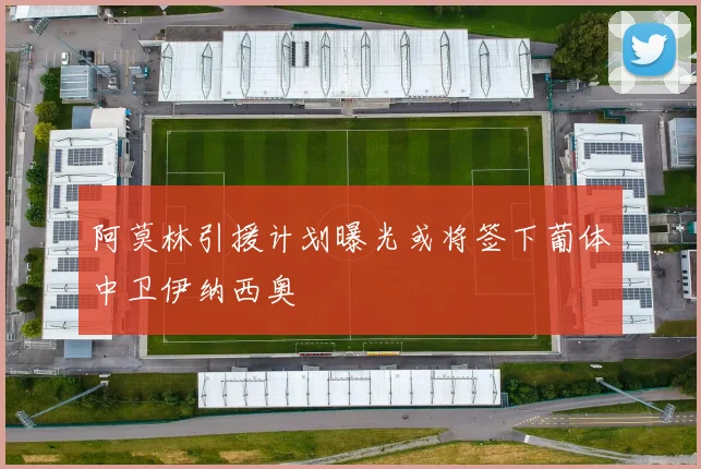 阿莫林引援计划曝光或将签下葡体中卫伊纳西奥